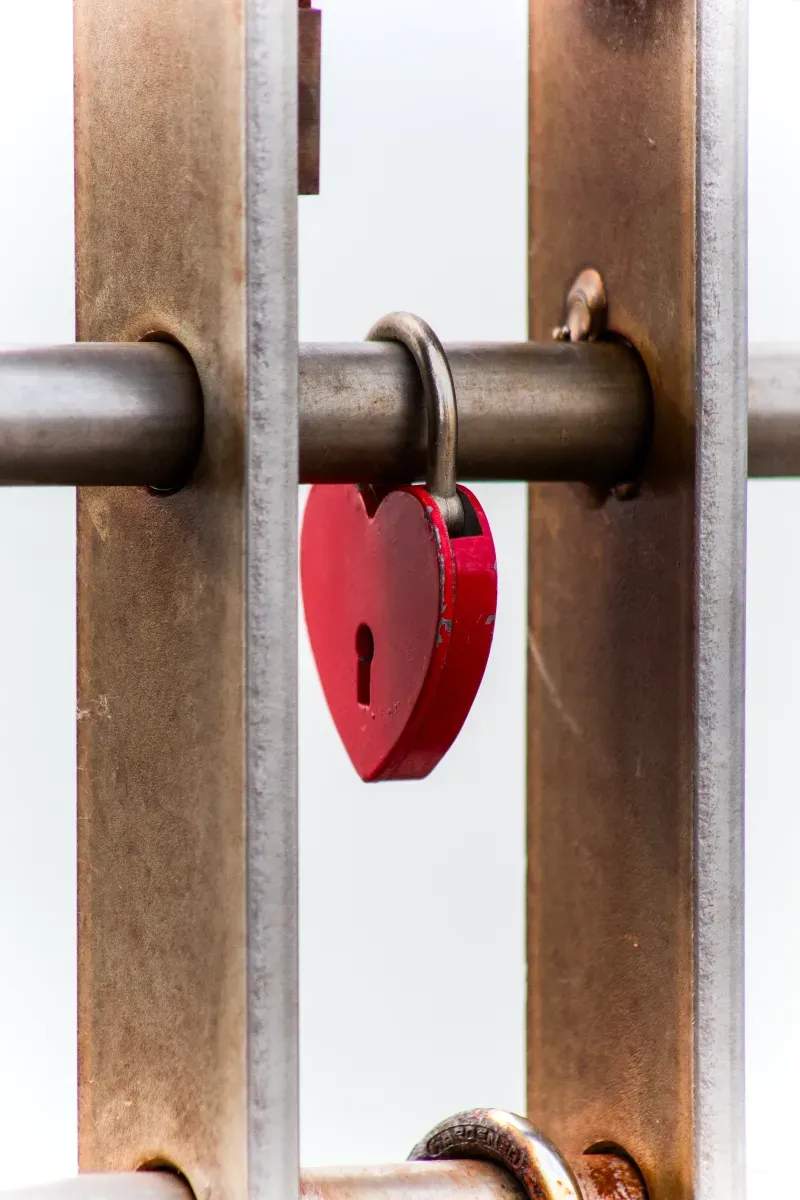 Apex Shield Security Ltd 12